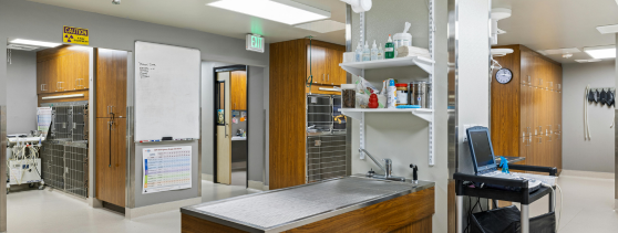 Color Therapy in Hospitals